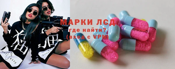 ГАЛЛЮЦИНОГЕННЫЕ ГРИБЫ Абаза