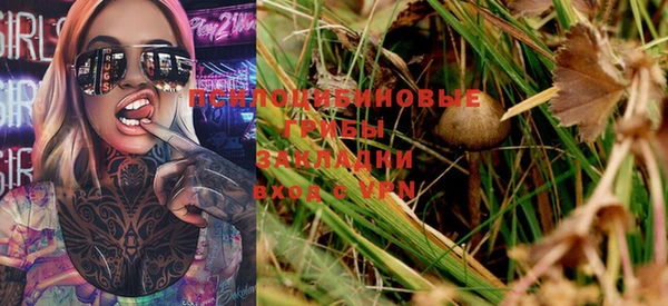ГАЛЛЮЦИНОГЕННЫЕ ГРИБЫ Абаза