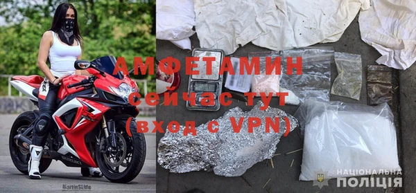 ГАЛЛЮЦИНОГЕННЫЕ ГРИБЫ Абаза