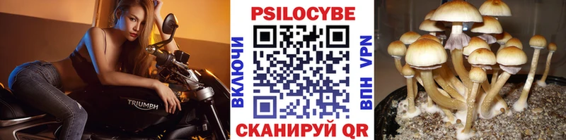 Псилоцибиновые грибы мухоморы  как найти закладки  Электросталь 